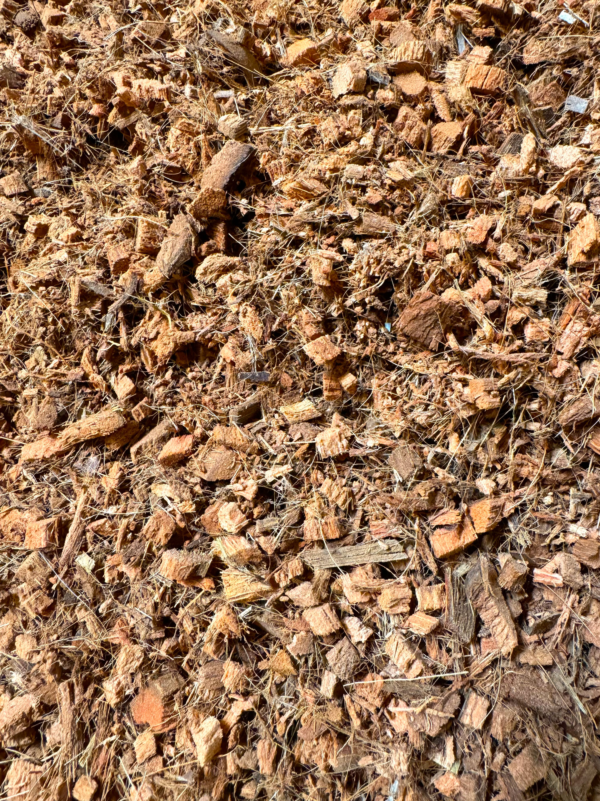 facility-image-step-7